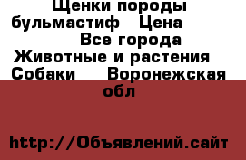 Щенки породы бульмастиф › Цена ­ 25 000 - Все города Животные и растения » Собаки   . Воронежская обл.